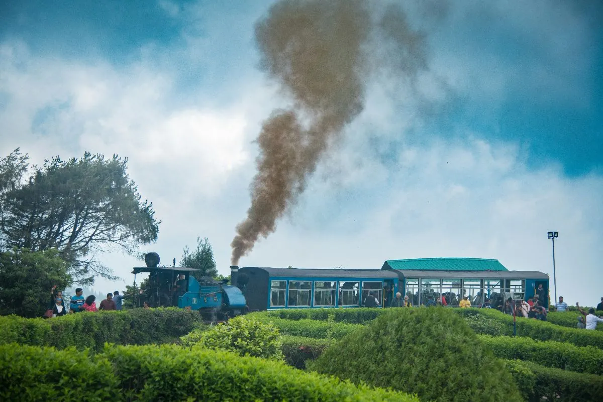 2 Nights 3 Days Darjeeling Tour – the toy train running past tea gardens