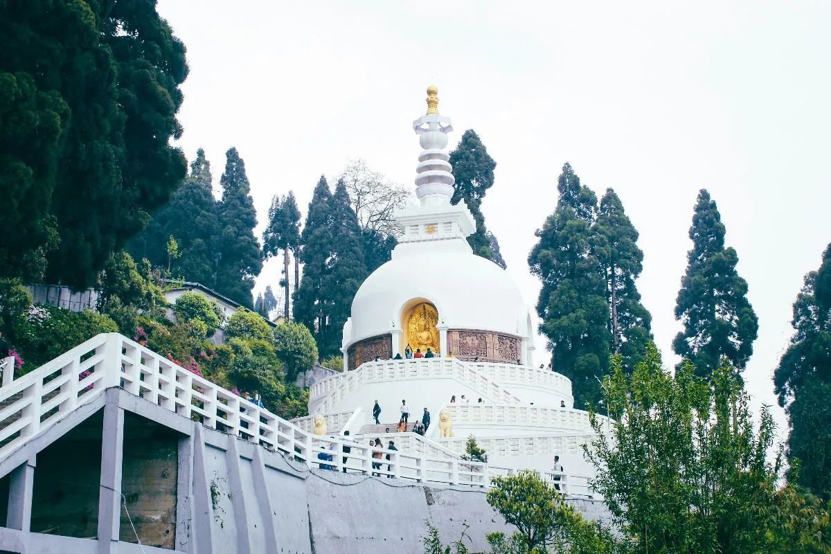 Darjeeling travel information – the Peace Pagoda seen through tall cedars on the Darjeeling ridge